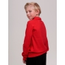 Джемпер для мальчика красный TRK0603